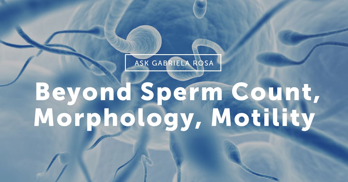 Beyond Sperm Count, Morphology, Motility