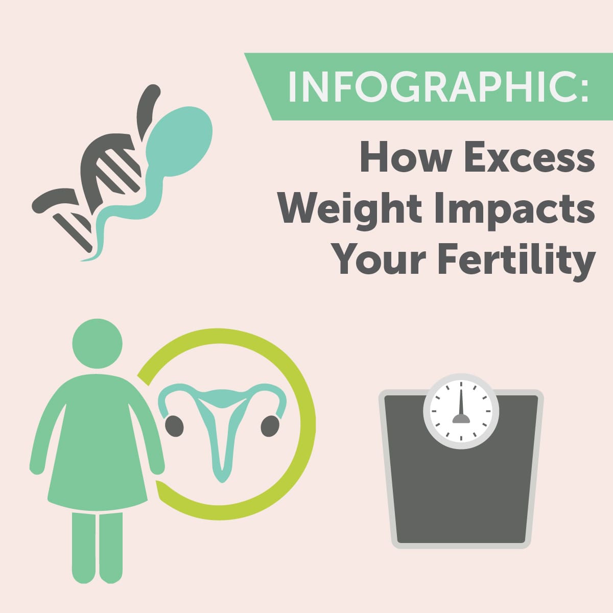 Infographic Coverphotos Weight